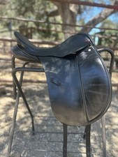 Albion legend dressage for sale  Paso Robles