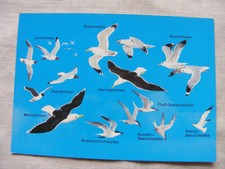 Postkarte ansichtskarte alt gebraucht kaufen  Bremen