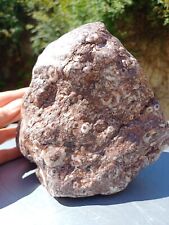 3.1kg red fossil for sale  ROMFORD