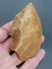 Neanderthal middle paleolithic d'occasion  Bonneville