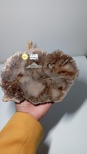 465g plaque bois d'occasion  Saverne