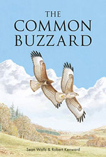 Common buzzard walls for sale  ROSSENDALE