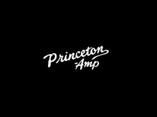 Princeton amp logo d'occasion  Expédié en Belgium
