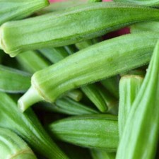 Okra perkins long for sale  Berwyn