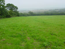 Plot land sale for sale Plot land sale for sale  HOLSWORTHY