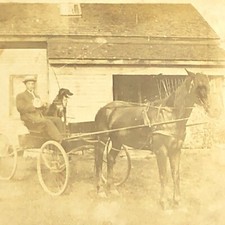 Antique horse buggy for sale  Oregon