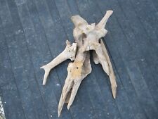Used taxidermy drift for sale  Eugene
