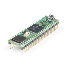 Teensy 4.1 usato  Spedire a Italy