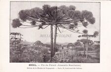 Brasile missione brasiliana usato  Roma