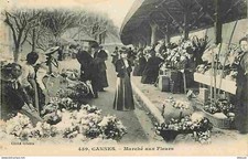Cannes marché fleurs d'occasion  Fruges