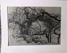 Wistman wood dartmoor for sale  GUNNISLAKE