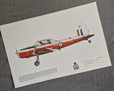 Squadron print chipmunk for sale  DONCASTER