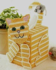 Cute kitten cat for sale  Bellows Falls