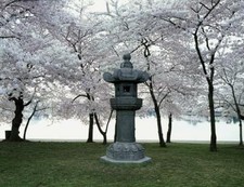 Japanese lantern stone for sale  USA
