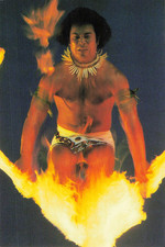Postcard hawaiian fire for sale  Honea Path
