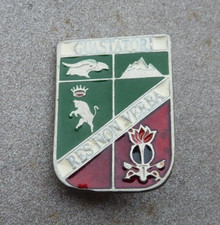 Distintivo smaltato spilla usato  Italia