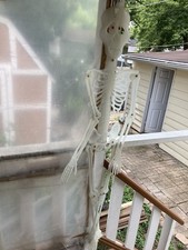 posable halloween skeleton for sale  Ingleside