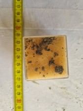 Frammenti meteorite annan usato  Domodossola