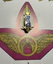 Distintivo grado generale usato Distintivo grado generale usato  Napoli