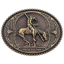 Bronco rider metal for sale  Miami