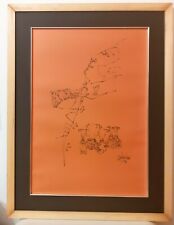 Salvador aulestia 50x70 usato  Roma