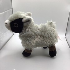 Frankford baby goat for sale  Dayton