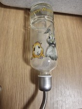 Decorative small animal for sale  KING'S LYNN