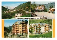 Margno valsassina lecco usato  Viola