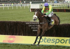 Kauto star ruby for sale  LEEDS