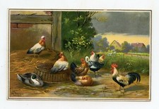 Illustrateur schönian animaux d'occasion Illustrateur schönian animaux d'occasion  Neufchâteau