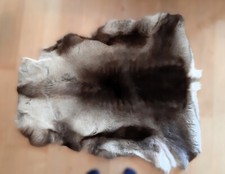 Wunderschönes echtes rentierf gebraucht kaufen  Unterföhring