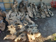 Legno wood radica usato  Conversano