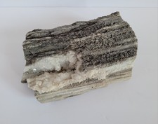 Arizona black smokey for sale  Prescott Valley