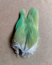 Fly tying native for sale  UK