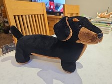 sausage dog teddy for sale sausage dog teddy for sale HARROGATE