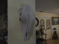 Vintage large natural for sale  Fontana