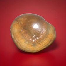 Agate 3.15 natural for sale  Thebes