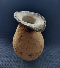 Organic pottery vase for sale  NEWTOWNARDS