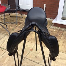 Albion fabrento dressage for sale  UTTOXETER