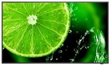 Nec monitor digital usato  Fermo