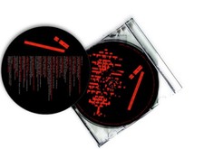 Various No Disco - Mutant Dance Happening CD, Comp 2003 Experimental, Electro, L, usado comprar usado  Enviando para Brazil