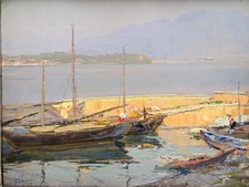 Eugenio polesello barche usato  Gavirate
