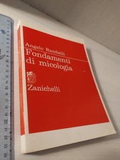 Angelo rambelli fondamenti usato  Collegno