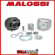 318562 cilindro malossi usato  Trapani