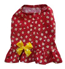 Mini daisy flowers for sale  Washougal