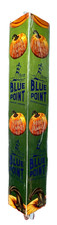 Blue point mother for sale  Farmington