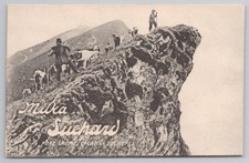 Vintage milka suchard for sale  MANCHESTER