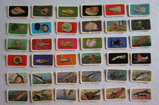 enciclopedia mare usato enciclopedia mare usato Montevarchi