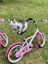 Vélos pouces twin d'occasion  Villecresnes