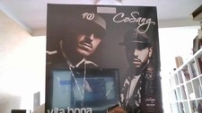 2lp cosang sang usato  Verona